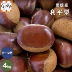 [ выгода flat каштан 4kg][ бесплатная доставка ][ прохладный рейс ] Ehime производство выгода flat каштан 4 kilo M~3L размер редкий замечательная вещь! пик. иллюзия. каштан! сырой каштан 