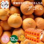 ショッピングデコポン 「小玉デコくん3×4」 【送料無料】愛媛西宇和産国安さんちの小玉デコくん 12キロ (3キロ×4箱)デコポンは登録商標のためデコくんとして販売