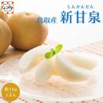 [ новый . Izumi примерно 1kg][ бесплатная доставка ][ подарок ][.. для ] Tottori префектура оригинал товар вид Tottori производство новый . Izumi (......) груша нет ваш заказ мир груша 