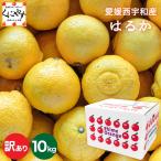 ショッピングデコポン 「訳あり愛媛はるか10」 【送料無料】【訳あり】愛媛西宇和産はるか 訳あり10キロ/デコポンをレモン色にしたような外見