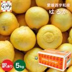 ショッピングデコポン 「訳あり愛媛はるか5」【送料無料】【訳あり】愛媛西宇和産はるか 訳あり5キロ/デコポンをレモン色にしたような外見