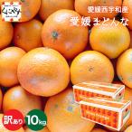 「訳あり愛媛まどんな5×2」【送料無料】【訳あり】【産地直送】愛媛まどんな 訳あり10キロ (5キロ×2箱)【予約品】11月下旬〜12月上旬頃発送