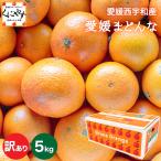 「訳あり愛媛まどんな5」【送料無料】【訳あり】【産地直送】愛媛まどんな 訳あり5キロ【予約品】11月下旬〜12月上旬頃発送