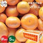 「訳ありみかん5」＼創業85年の老舗 親子4代 愛媛みかん 一筋／【送料無料】【訳あり】愛媛西宇和産みかん 訳あり5キロ