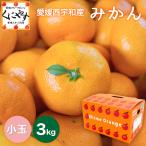 「小玉みかん3」味センサー合格品【送料無料】【お歳暮】【ギフト】愛媛西宇和産小玉みかん3kg2S-S玉