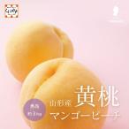 [ Yamagata желтый персик превосходящий товар примерно 3kg]|.. манго. подобный . толщина . тест ..* предварительный заказ принимается |[ бесплатная доставка ][ прямая поставка от производителя ] Yamagata производство желтый персик манго pi-chi желтый золотой персик .. персик 