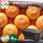 ショッピングデコポン 「贈答デコくん4」【送料無料】愛媛西宇和産国安さんちのデコくん 贈答用4キロ/デコポンは登録商標のためデコくんとして販売