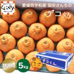 ショッピングデコポン 「贈答デコくん5」【送料無料】愛媛西宇和産国安さんちのデコくん 贈答用5キロ/デコポンは登録商標のためデコくんとして販売