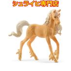 【シュライヒ専門店】シュライヒ サンストーン スペシャル 70776 妖精フィギュア バヤラ エルフ bayala elves schleich