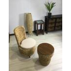 ウォーターヒヤシンスパーソナルチェ...