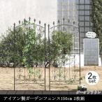 ガーデンフェンス 庭 フェンス トレリス アイアン 目隠し 外構 diy おしゃれ 柵 埋め込み エクステリア 薔薇 つる 誘引 150 DBR 2枚組 同梱区分直送SPSM
