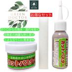 ショッピングパスタ ハナゲン カットパスター 雑木用 190g カットパスター ペースト 50g スポンジセット