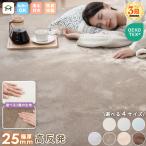 ラグ 厚手 25mm 2畳 3畳 洗える ラグマット 高反発 135x185cm フランネル 防音 滑り止め付 床暖房 ホットカーペット対応 こたつ 対応 正方形 長方形 絨毯 北欧
