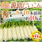 石川県”源助だいこん”秀品8〜10...
