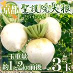 ~ Kyoto (столичный округ) ... дайкон ~ 3 шар (1 шар масса примерно 1~2kg передний и задний (до и после) )[ предварительный заказ 11 месяц последняя декада после ] бесплатная доставка 