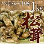  China производство ~ сосна .~ примерно 1kg...~ средний чашка размер случайный [ доставка день указание возможность ] бесплатная доставка 