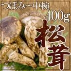 ~ China производство сосна .~ 4~8шт.@ примерно 400g...~ средний чашка [ доставка день указание возможность ] бесплатная доставка 