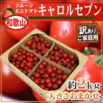 商品画像2