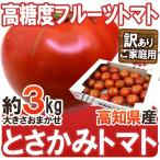  Kochi prefecture night . production height sugar times night .. fruit tomato ~.... tomato ~ approximately 3kg with translation *. home use [ reservation arrival sequence shipping ] free shipping 