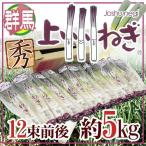  Gunma префектура ~ сверху . лук порей ~ 12 пачка передний и задний (до и после) примерно 5kg[ предварительный заказ 11 конец месяца после ]