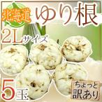 ~ Hokkaido производство .. корень ~ немного есть перевод 2L размер 5 шар ...[ предварительный заказ 11 месяц последняя декада после ]