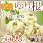 ~ Hokkaido производство .. корень ~ немного есть перевод 3~4 шар примерно 500g...[ предварительный заказ 11 месяц последняя декада после ]