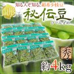  Yamagata префектура производство ~.. бобы ~ превосходящий товар примерно 4kg ветка бобы [ предварительный заказ 9 конец месяца после ] бесплатная доставка 