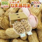  Shizuoka префектура производство JA... Hamamatsu ~ jumbo .. арахис (.....)~ примерно 500g×2 пакет ( примерно 1kg)[ предварительный заказ 7 месяц последняя декада после ] бесплатная доставка 