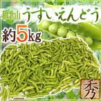 紀州・和歌山 ”うすいえんどう” 秀品 約5kg バラ詰め【予約 3月中下旬以降】 送料無料