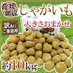 ショッピング訳あり ”じゃがいも” 訳あり 約10kg 大きさおまかせ 産地厳選 送料無料