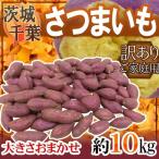 ”さつまいも”約10kg千葉・茨城...