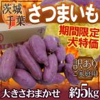 ショッピングさつまいも 千葉・茨城産 ”さつまいも” 訳あり 約5kg 紅あずま・紅こがね・紅まさり・紅はるか 品種おまかせ 送料無料