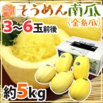 岡山産 ”そうめんかぼちゃ” 3〜6玉前後 約5kg そうめん南瓜/金糸瓜【予約 6月中旬以降】