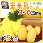 ~ золотой нить .( вермишель тыква )~ 3~6 шар передний и задний (до и после) примерно 5kg вермишель юг .[ предварительный заказ 6 месяц средний . после ]