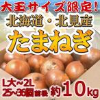 北海道 北見F1 ”たまねぎ” 秀品 約10kg 大玉L〜LLサイズ 玉葱【予約 入荷次第発送】 送料無料