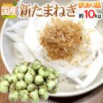 ~ new onion ~ with translation approximately 10kg Kyushu * Shikoku *..* Hokkaido production ground carefuly selected [ reservation 3 month last third on and after ] free shipping 