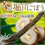  Kyoto (столичный округ) ~. река gobou ~ примерно 800g~1kg передний и задний (до и после) [ предварительный заказ 12 месяц после ]