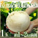 ~ Kyoto (столичный округ) ......~ 1 шар примерно 1~2kg передний и задний (до и после) [ предварительный заказ 11 месяц последняя декада после ]