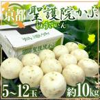  Kyoto (столичный округ) ~......~ 5~12 шар примерно 10kg[ предварительный заказ 11 месяц последняя декада после ] бесплатная доставка 