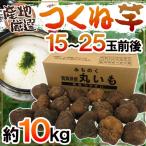  производство земля тщательно отобранный ~... клубень * гора. клубень ~ 15~25 шар передний и задний (до и после) примерно 10kg горный ямс / Ямато ямс /....[ предварительный заказ 11 месяц после ] бесплатная доставка 