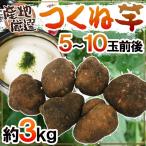  производство земля тщательно отобранный ~... клубень * гора. клубень ~ 5~10 шар передний и задний (до и после) примерно 3kg горный ямс / Ямато ямс /....[ предварительный заказ 11 месяц после ] бесплатная доставка 