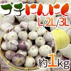 ”プチにんにく” L/2L/3L 約1kg 送料無料