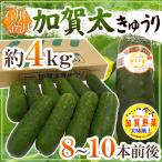 石川県 加賀野菜 ”加賀太きゅうり” 8〜10本 約4kg【予約 5月以降】