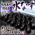 大阪泉州 ”水なす” 15～24個 風袋込約4kg 贈答用品質（等級A・B）【予約 3月以降】 送料無料