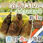  Fukuoka . лошадь производство ~ побеги бамбука ~ есть перевод примерно 4kg размер случайный и т.п. класс синий белый красный [ предварительный заказ 3 месяц последняя декада после ] бесплатная доставка 