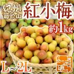 ~..* Wakayama производство . маленький слива ~ превосходящий товар L*2L размер примерно 1kg[ предварительный заказ 5 месяц средний . после ]