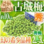 ..* Wakayama производство ~ старый замок слива ~ превосходящий товар 2L~3L примерно 10kg[ предварительный заказ 5 конец месяца после ] бесплатная доставка 