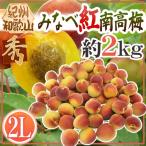 ~..* Wakayama производство . кастрюля . юг высота слива ~ превосходящий товар 2L примерно 2kg[ предварительный заказ 5 конец месяца после ] бесплатная доставка 