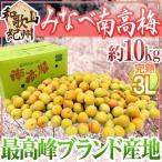 ショッピング梅 紀州・和歌山産 ”みなべ南高梅 熟梅” 秀品 3L 約10kg【予約 6月以降】 送料無料