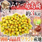 ~..* Wakayama производство . кастрюля юг высота слива . слива ~ превосходящий товар L примерно 3kg[ предварительный заказ 6 месяц после ] бесплатная доставка 